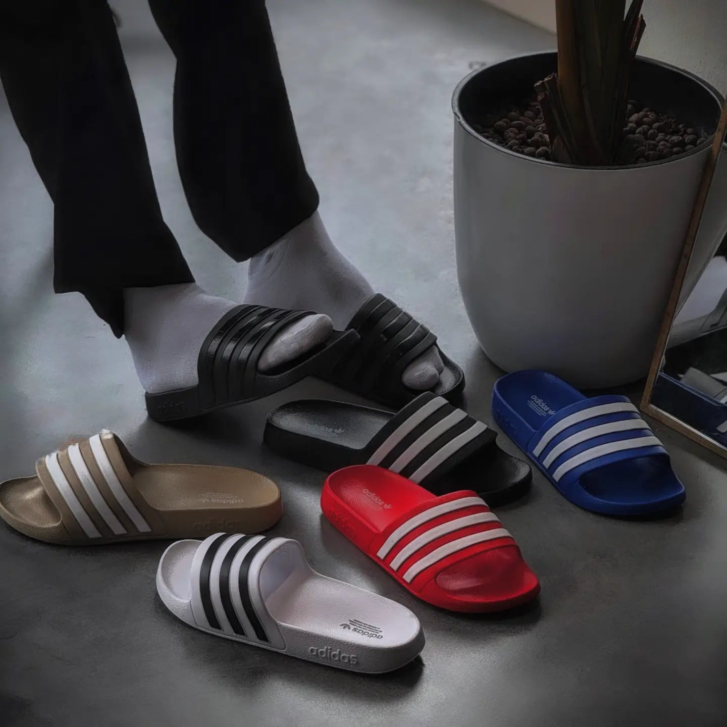 ADIDAS SLIDE CATLETS